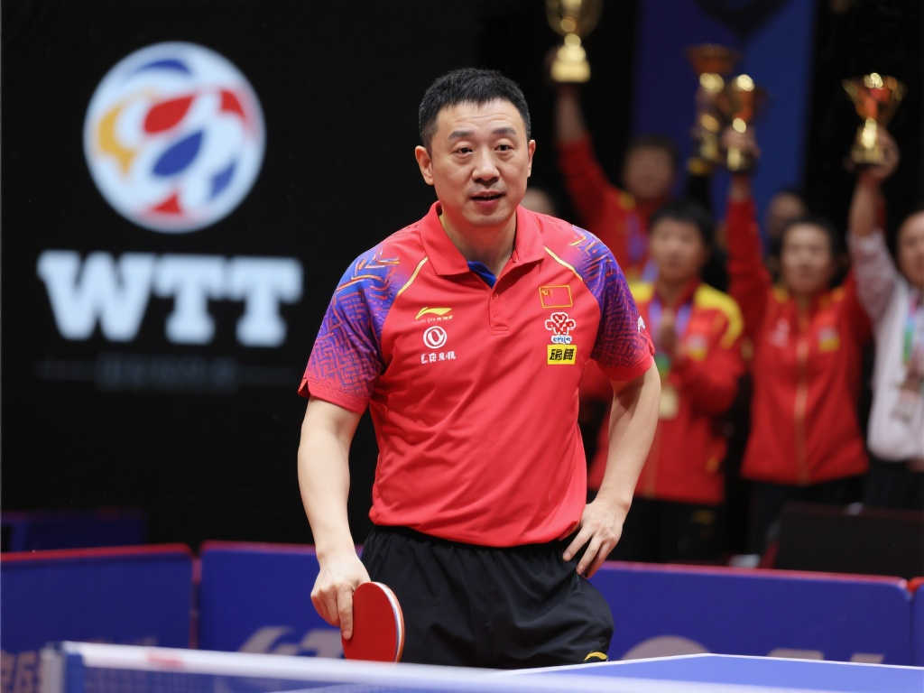 他们不仅在 他们不仅在